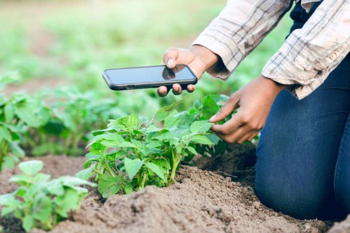 Se abren postulaciones para la categoría “Agro del Futuro FIA” en los premios Avonni 2023  